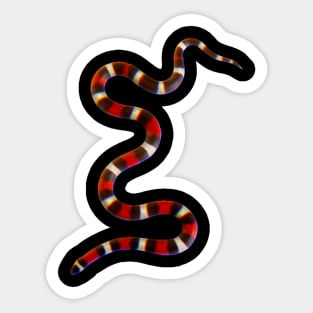 Coral snake Sticker